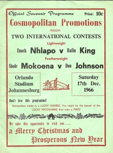 Don Johnson vs Shole Mokoena - African Ring