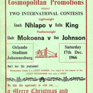 Don Johnson vs Shole Mokoena - African Ring