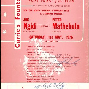 Joe Ngidi vs Peter Mathebula - African Ring