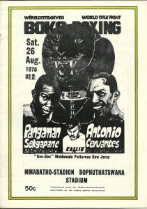 Norman Sekgapane vs Antonio Cevantes - African Ring