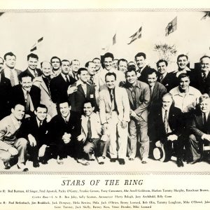 Stars of the ring - African Ring